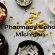 Top Pharmacy Schools in Michigan 2024 | Best Schools in America: Top Public & Private Options