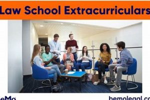 Top Extracurriculars for Law School Success | Best Schools in America: Top Public & Private Options