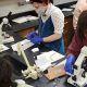Unlock Your Potential: High School Forensics Guide | Best Schools in America: Top Public & Private Options