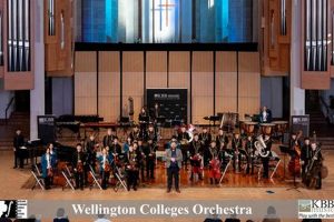 Top US Colleges for Orchestra Programs 2024 | Best Schools in America: Top Public & Private Options