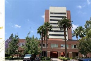 Top Undergraduate Psychology Schools in California 2024 | Best Schools in America: Top Public & Private Options