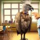 Meet David Sloth: Turkey Run's New Art Teacher | Best Schools in America: Top Public & Private Options