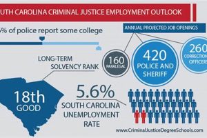 Top Criminal Justice Schools in NC: 2024 Guide | Best Schools in America: Top Public & Private Options