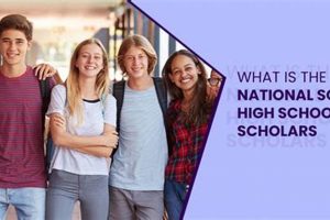 Does College Admission Value NSHSS Membership? | Best Schools in America: Top Public & Private Options