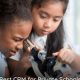 Top CRM for Private Schools: 2024 Guide | Best Schools in America: Top Public & Private Options