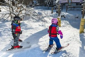 Top Ski Schools for Kids Out West: 2024 Guide | Best Schools in America: Top Public & Private Options