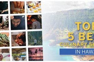 Top Culinary Schools in Hawaii: 2024 Guide | Best Schools in America: Top Public & Private Options