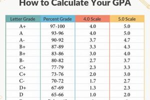 Top Colleges for a 3.8 Weighted GPA &amp; Beyond | Best Schools in America: Top Public & Private Options