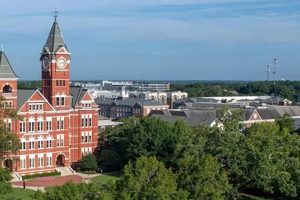 Top Business Schools in Alabama: 2024 Guide | Best Schools in America: Top Public & Private Options