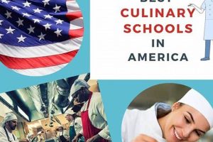 Best Culinary Schools In New Orleans Best Schools in America: Top Public & Private Options Best Culinary Schools In New Orleans | Best Schools in America: Top Public & Private Options