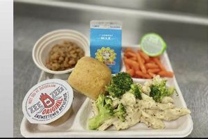 Gwinnett County School Lunch Menus & Nutrition | Best Schools in America: Top Public & Private Options
