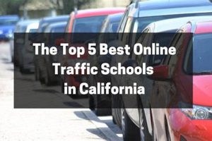 Top 5 Best Traffic Schools Online California Review | Best Schools in America: Top Public & Private Options