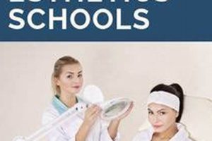 Top Esthetician Schools in NC: 2024 Guide | Best Schools in America: Top Public & Private Options