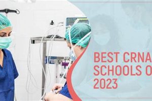 Top 5 Best CRNA Schools: 2024 Rankings Best Schools in America: Top Public & Private Options Top 5 Best CRNA Schools: 2024 Rankings | Best Schools in America: Top Public & Private Options