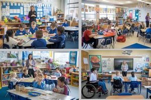 Top Schools for Special Needs Children 2024 | Best Schools in America: Top Public & Private Options