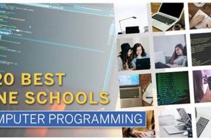 Top 10 Best Schools for Computer Programming Degrees 2024 | Best Schools in America: Top Public & Private Options