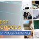 Top 10 Best Schools for Computer Programming Degrees 2024 | Best Schools in America: Top Public & Private Options
