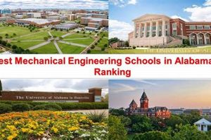 Top Engineering Schools in Alabama 2024 | Best Schools in America: Top Public & Private Options