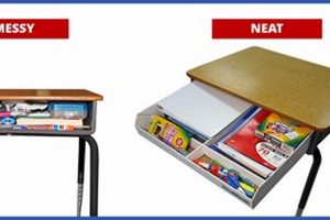 Best Desk Organizers for Elementary Private Schools | Best Schools in America: Top Public & Private Options