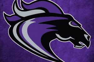 Go Ridge View! High School Basketball Team Pride | Best Schools in America: Top Public & Private Options