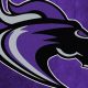 Go Ridge View! High School Basketball Team Pride | Best Schools in America: Top Public & Private Options