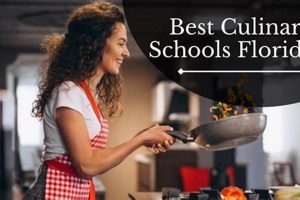 Top 5 Cooking Schools in Florida 2024 | Best Schools in America: Top Public & Private Options