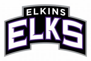Elkins WV High School Football: Home of the Tigers | Best Schools in America: Top Public & Private Options