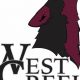 Go Coyotes! West Creek High Football Updates | Best Schools in America: Top Public & Private Options