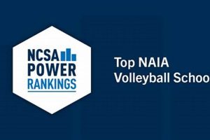 Top 10 Best NAIA Volleyball Schools & Programs | Best Schools in America: Top Public & Private Options