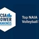 Top 10 Best NAIA Volleyball Schools & Programs | Best Schools in America: Top Public & Private Options