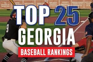 Top Georgia High School Baseball Team Rankings | Best Schools in America: Top Public & Private Options