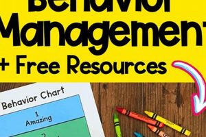 Effective Behavior Management in Public Schools: A Guide | Best Schools in America: Top Public & Private Options