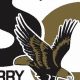 Surry Central High: Golden Eagles Football Legacy | Best Schools in America: Top Public & Private Options