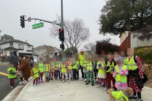 Safe School Crossing Guard Poles for Private Schools | Best Schools in America: Top Public & Private Options