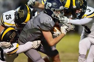 Go Bulldogs! Priceville High Football Updates | Best Schools in America: Top Public & Private Options