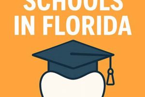 Top Dental Schools in Florida 2024 Best Schools in America: Top Public & Private Options Top Dental Schools in Florida 2024 | Best Schools in America: Top Public & Private Options