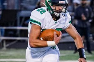 Go Wolverines! Woodgrove HS Football News & Scores | Best Schools in America: Top Public & Private Options