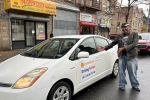 Top 5 Best Driving Schools in NYC 2024 | Best Schools in America: Top Public & Private Options