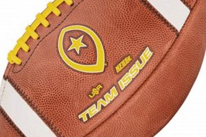 The Official High School Football Game Ball Guide | Best Schools in America: Top Public & Private Options