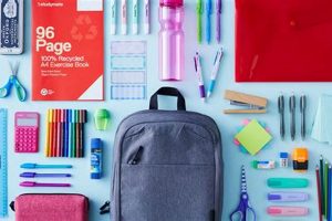 Top Items for a Thriving School Store | Best Schools in America: Top Public & Private Options