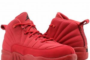 Best Air Jordan Retro 12 GS Basketball Shoes | Best Schools in America: Top Public & Private Options