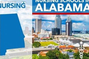 Top Nursing Schools in Alabama: 2024 Guide Best Schools in America: Top Public & Private Options Top Nursing Schools in Alabama: 2024 Guide | Best Schools in America: Top Public & Private Options