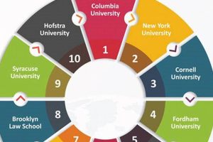 Top Best Law Schools in NY: 2024 Guide | Best Schools in America: Top Public & Private Options