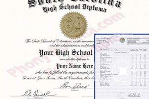 Get Your SC High School Diploma Copy Now | Best Schools in America: Top Public & Private Options
