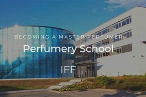Top Perfumery Schools In The World: 2024 Guide | Best Schools in America: Top Public & Private Options