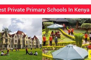 Top Private Primary Schools in Virginia 2024 | Best Schools in America: Top Public & Private Options
