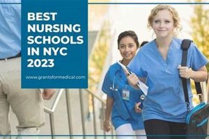 Top CUNY Nursing Schools in NYC: 2024 Guide | Best Schools in America: Top Public & Private Options