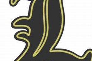 Lemont HS Football: 2024 Schedule & Season Preview | Best Schools in America: Top Public & Private Options