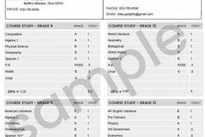 Get Your Evans High School Transcripts Fast | Best Schools in America: Top Public & Private Options