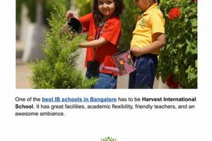 Top IB Schools in Bangalore: 2024 Guide | Best Schools in America: Top Public & Private Options